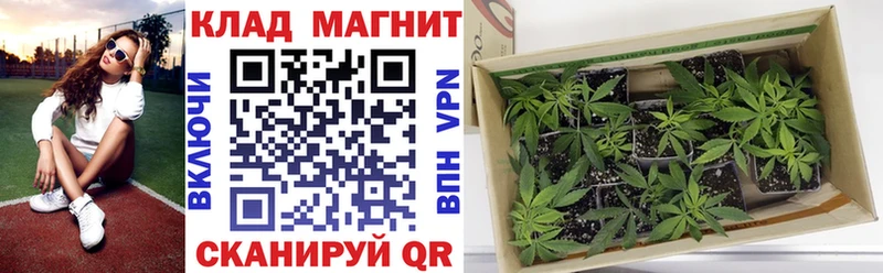 Купить закладку Георгиевск Кокаин  Alpha PVP  МЕТАДОН  ГАШ  Конопля  Амфетамин 