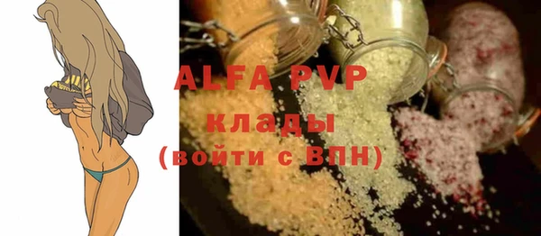 стаф Арсеньев