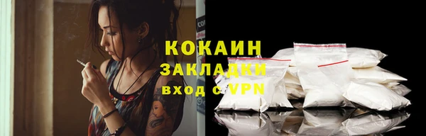 стаф Арсеньев