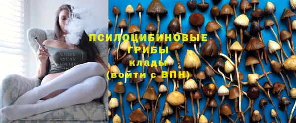 ГАЛЛЮЦИНОГЕННЫЕ ГРИБЫ Армянск