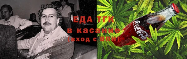 стаф Арсеньев