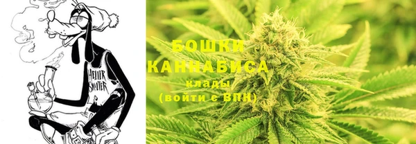spice Аркадак
