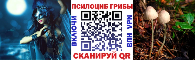 shop Telegram Георгиевск Галлюциногенные грибы ЛСД